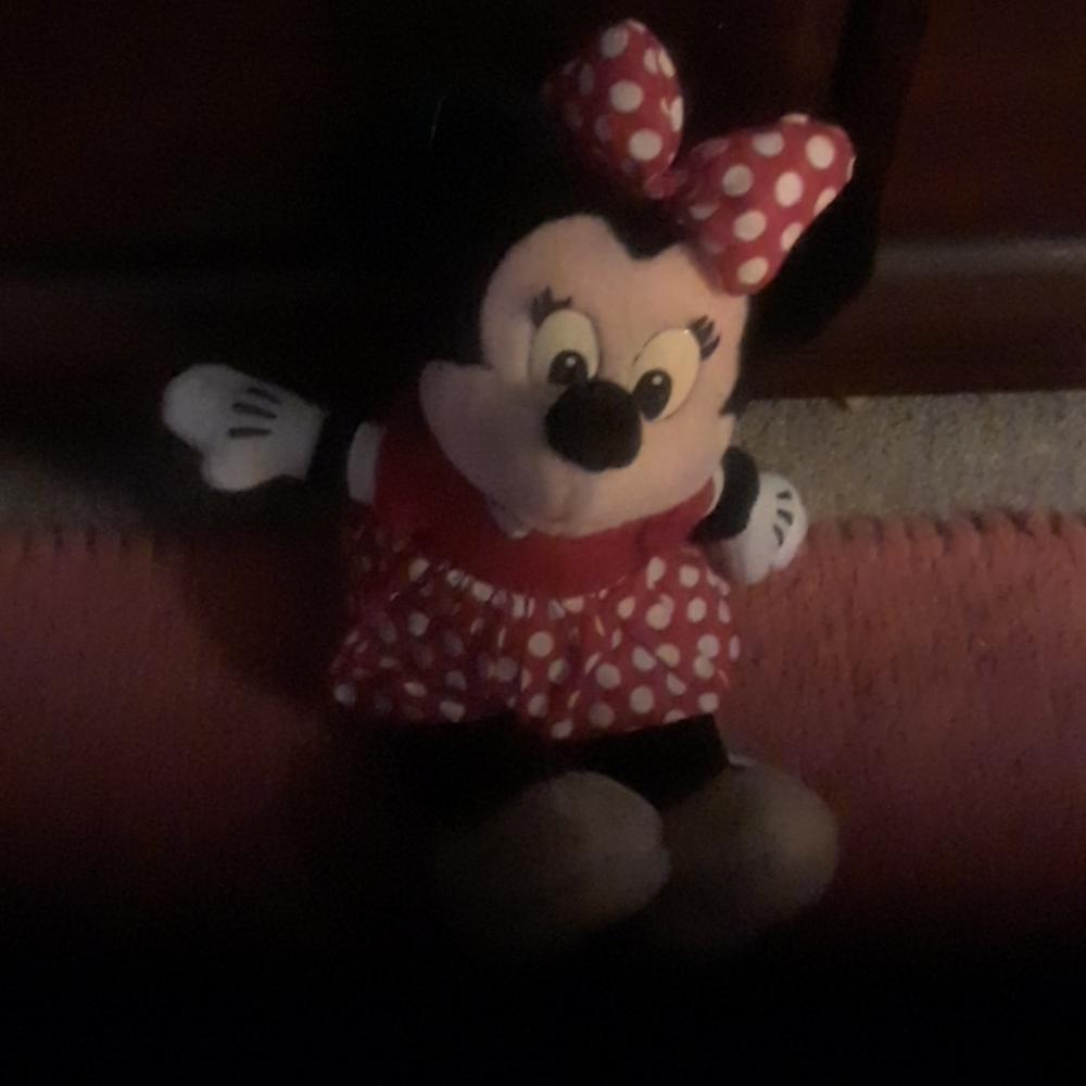 Minnie Mouse coin purse/Plush toy/Mickey Mouse Oversized Mug - Picture 9 of 16